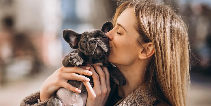 Breathe Easy: Proven Tips to Eliminate Dog Smell from Your Home Breathe Easy: Proven Tips to Eliminate Dog Smell from Your Home